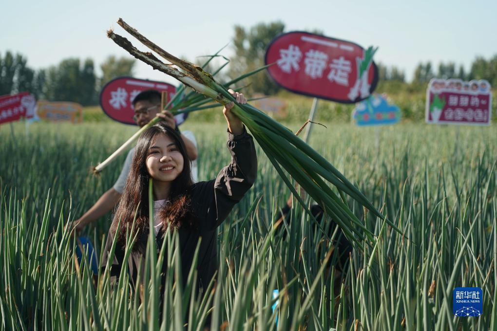 博乐网站链接